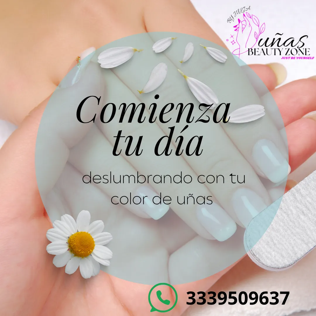 Diseño 6