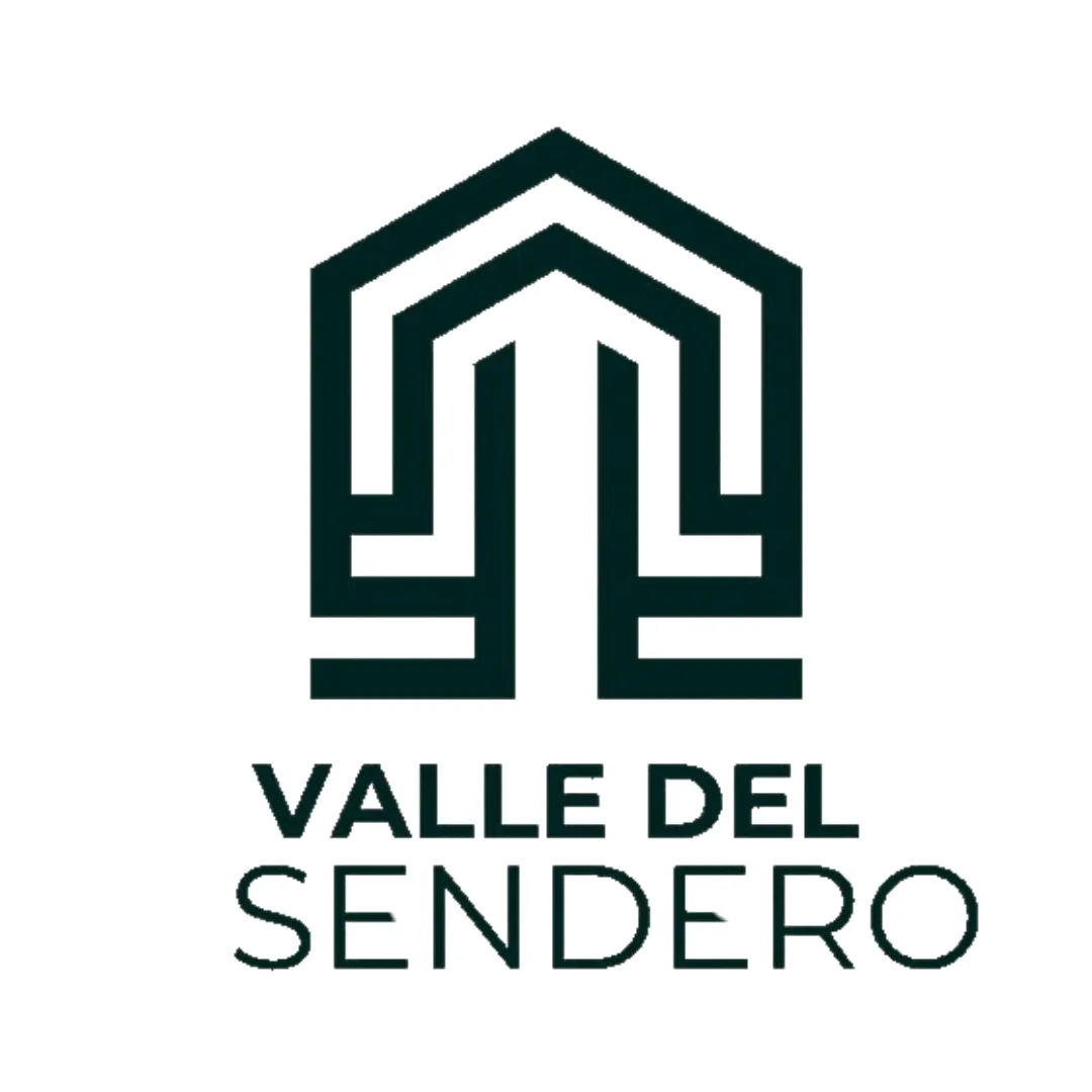 Diseño 61
