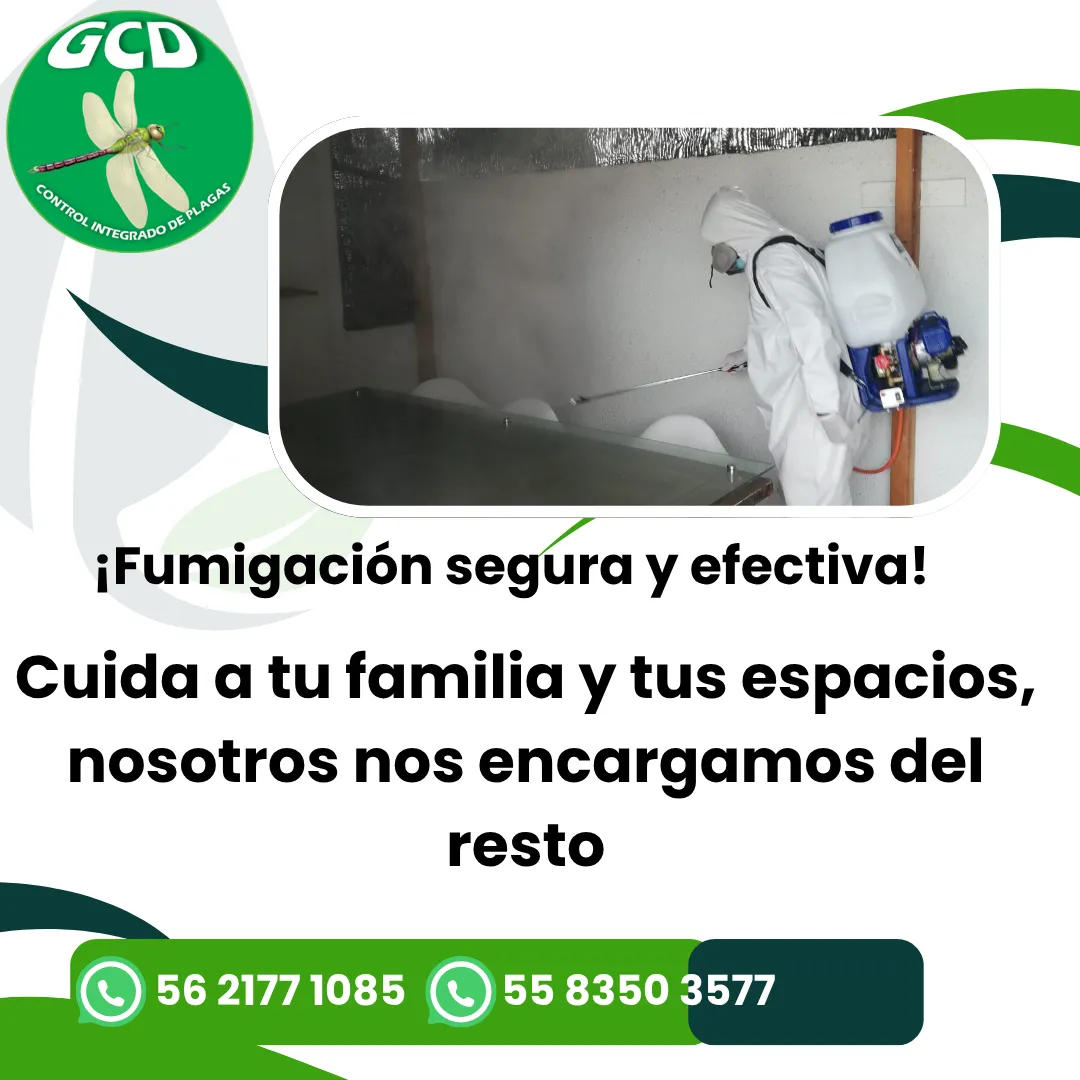 Diseño 106