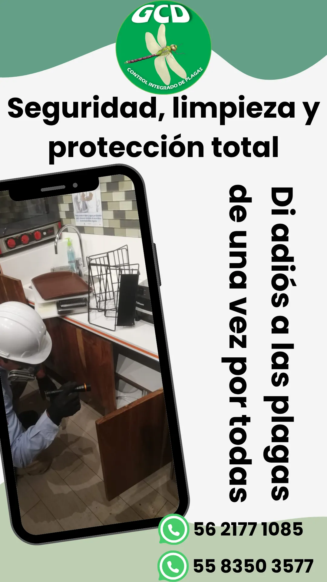 Diseño 102