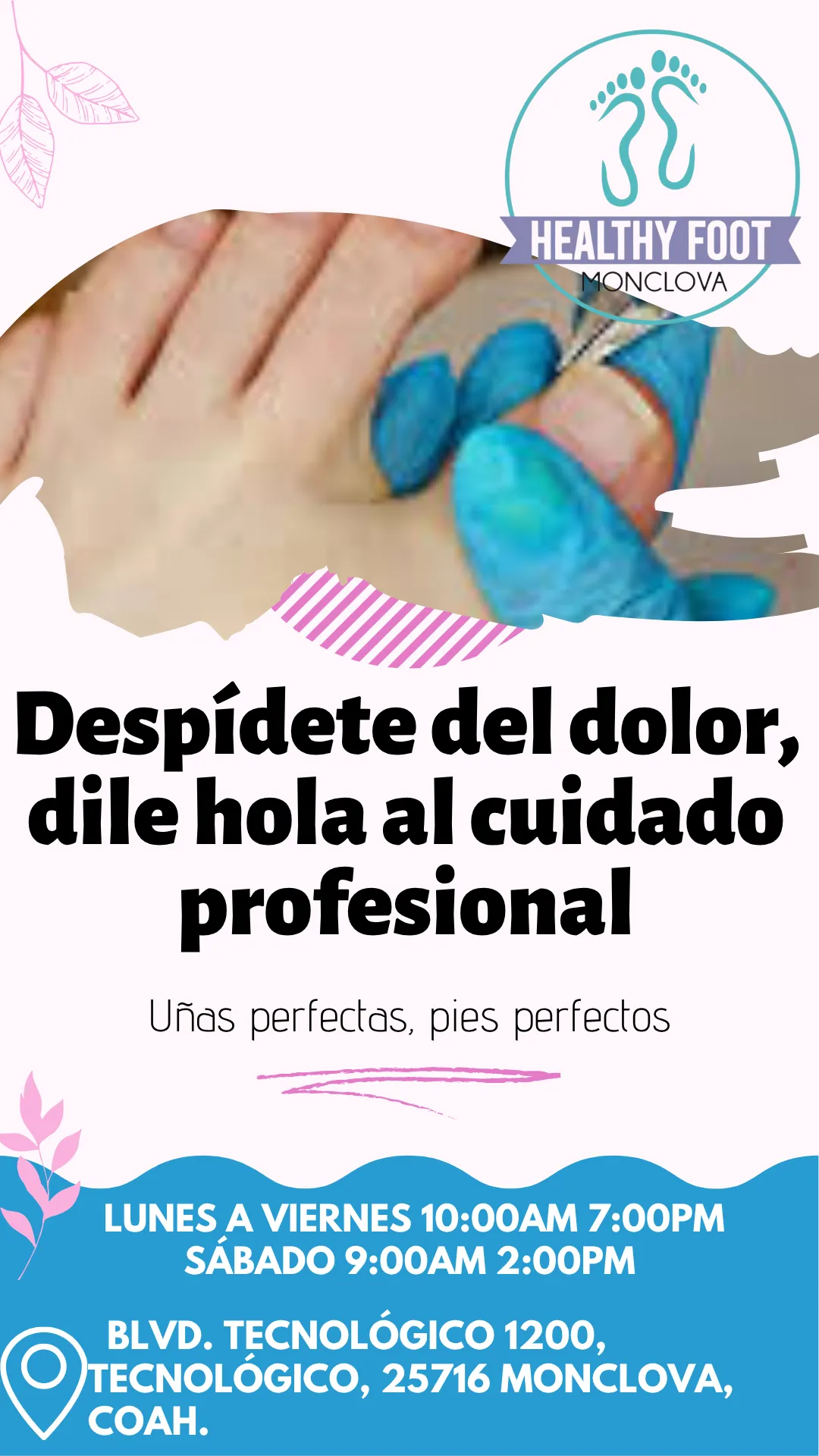 Diseño 67