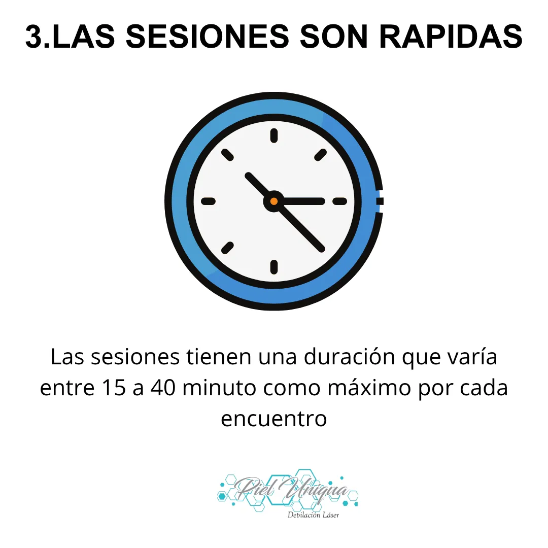 Diseño 16