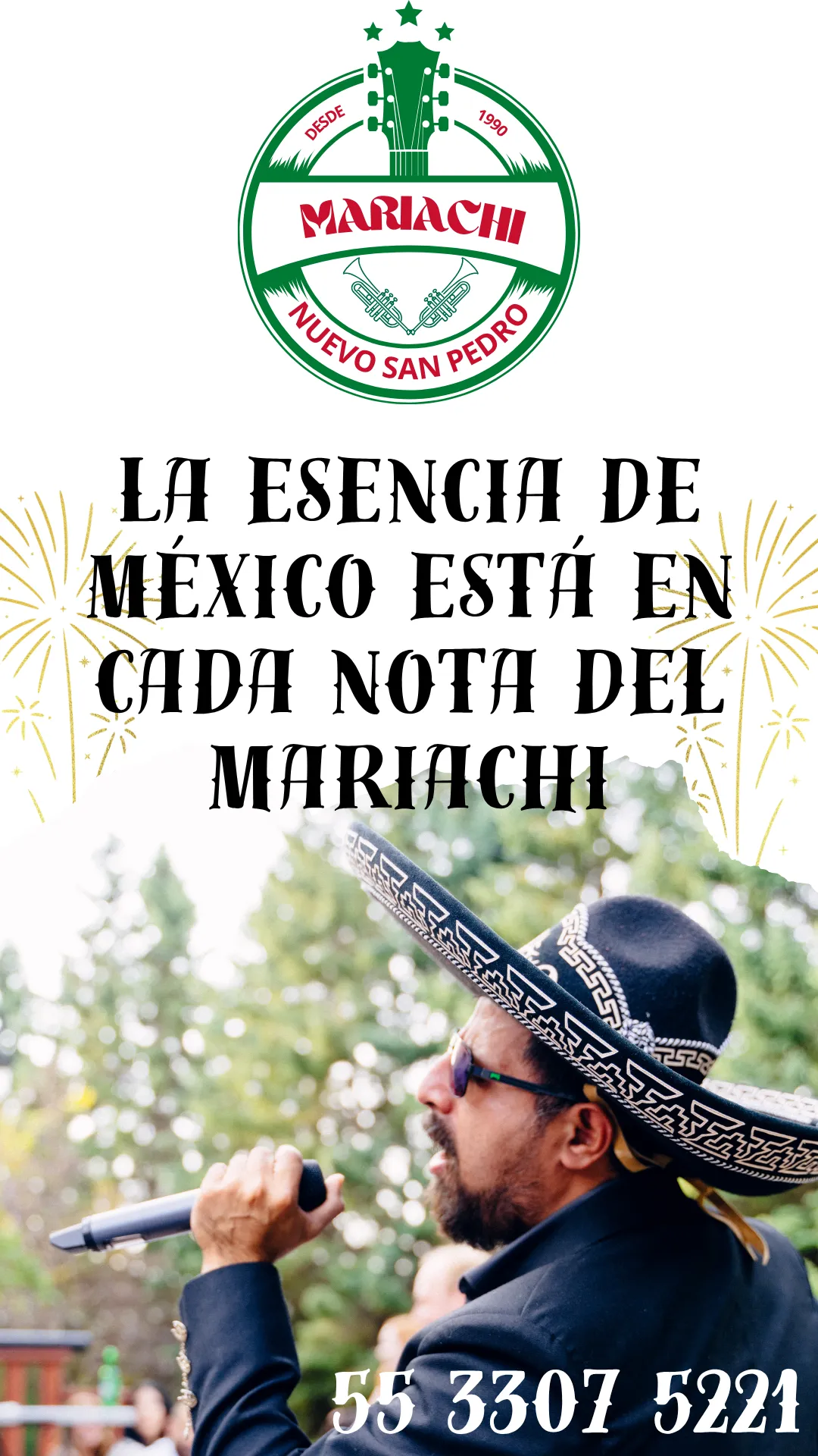 Diseño 44