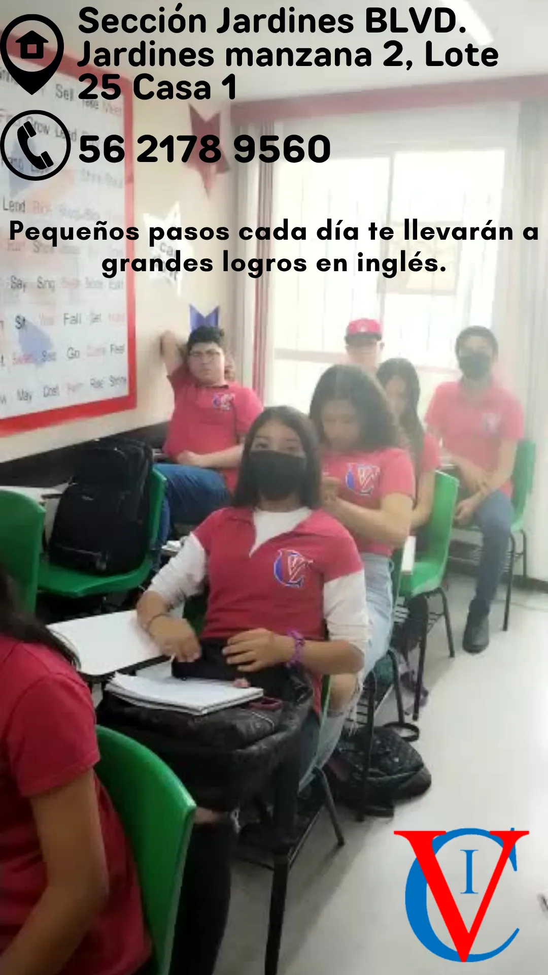 Diseño 113