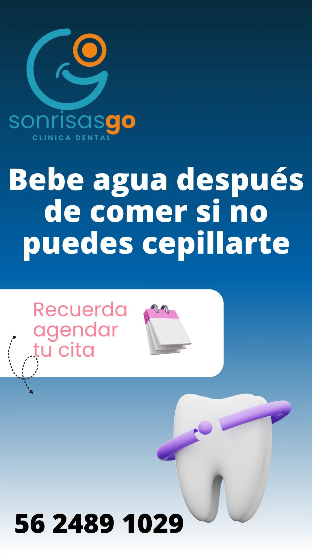 Diseño 29