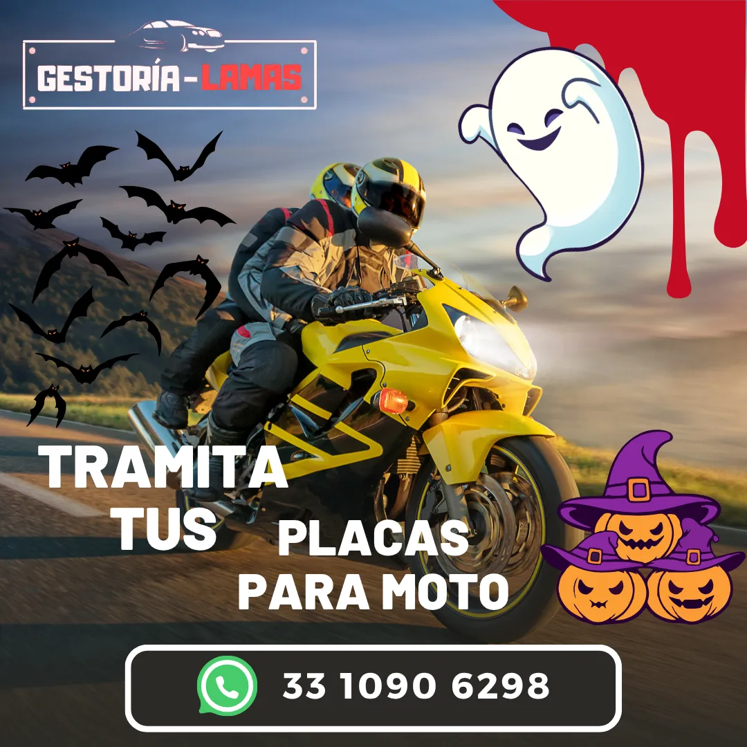 Diseño 134