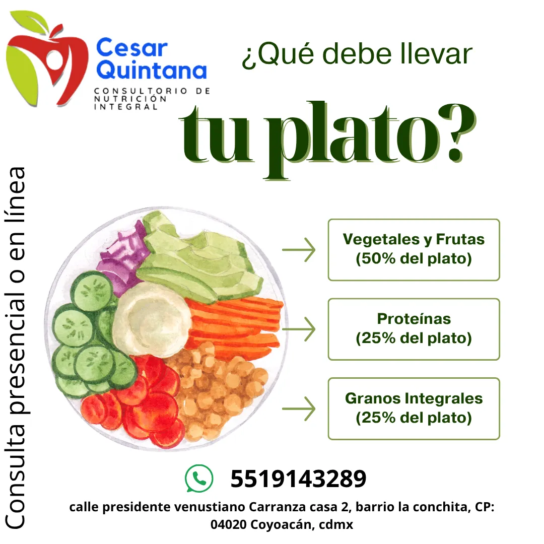 Diseño 6