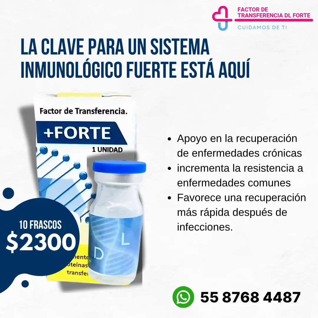 Diseño 22