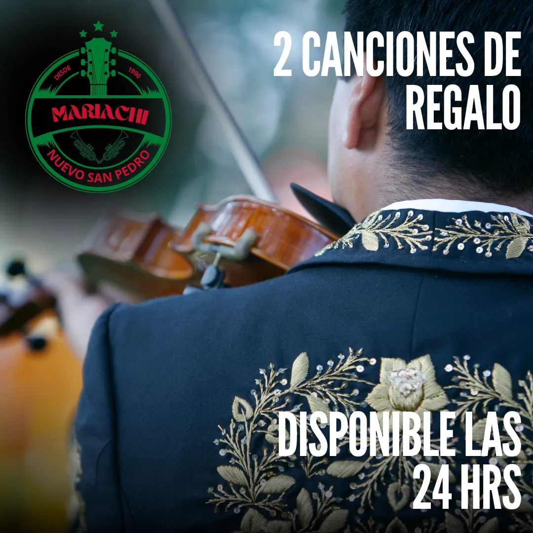 Diseño 35