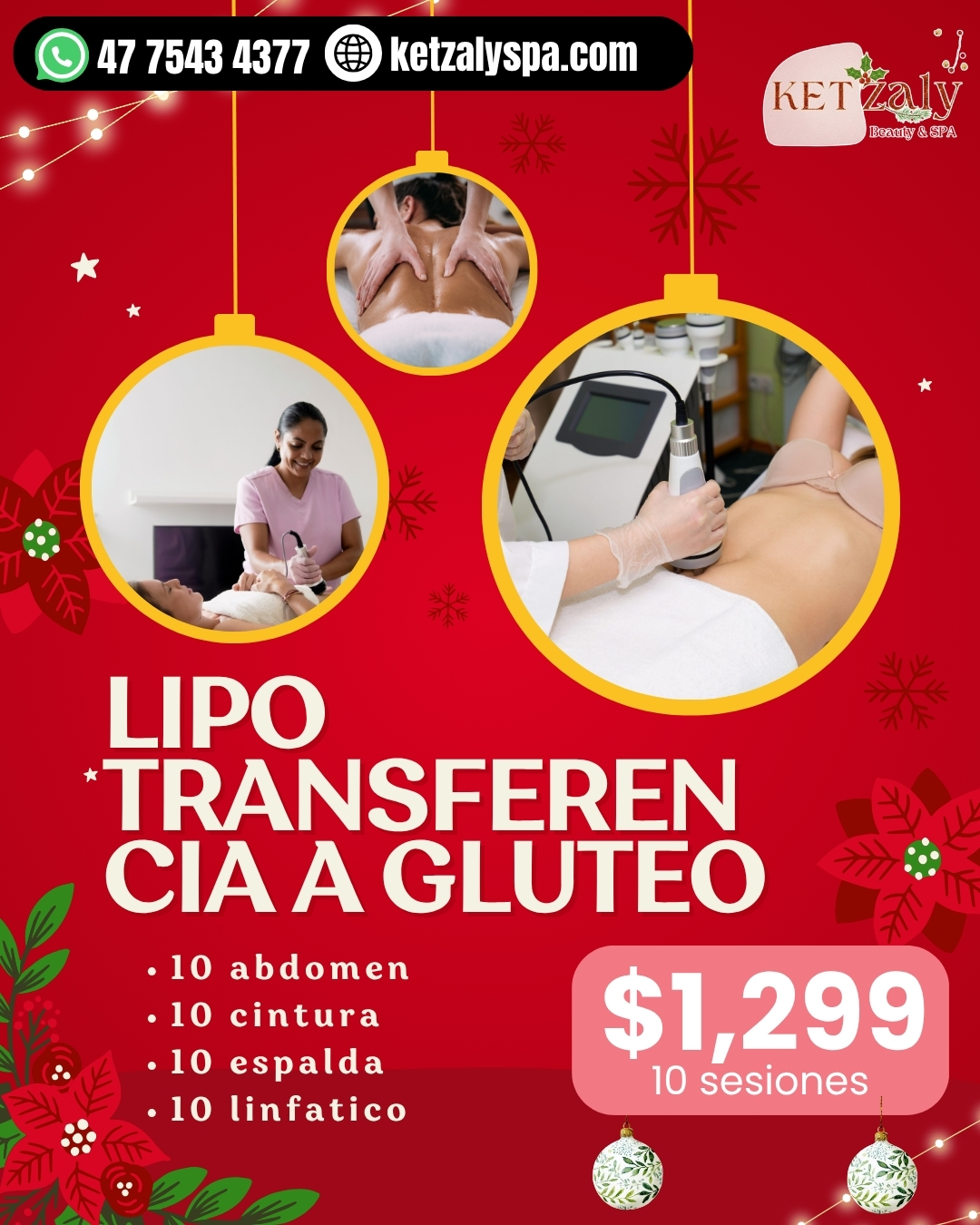 Diseño 20