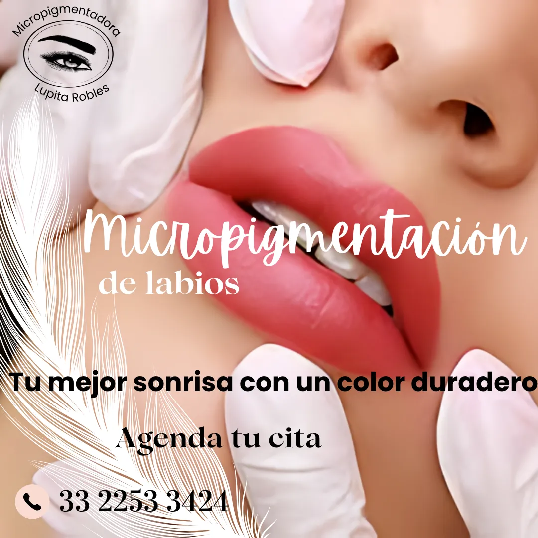 Diseño 77