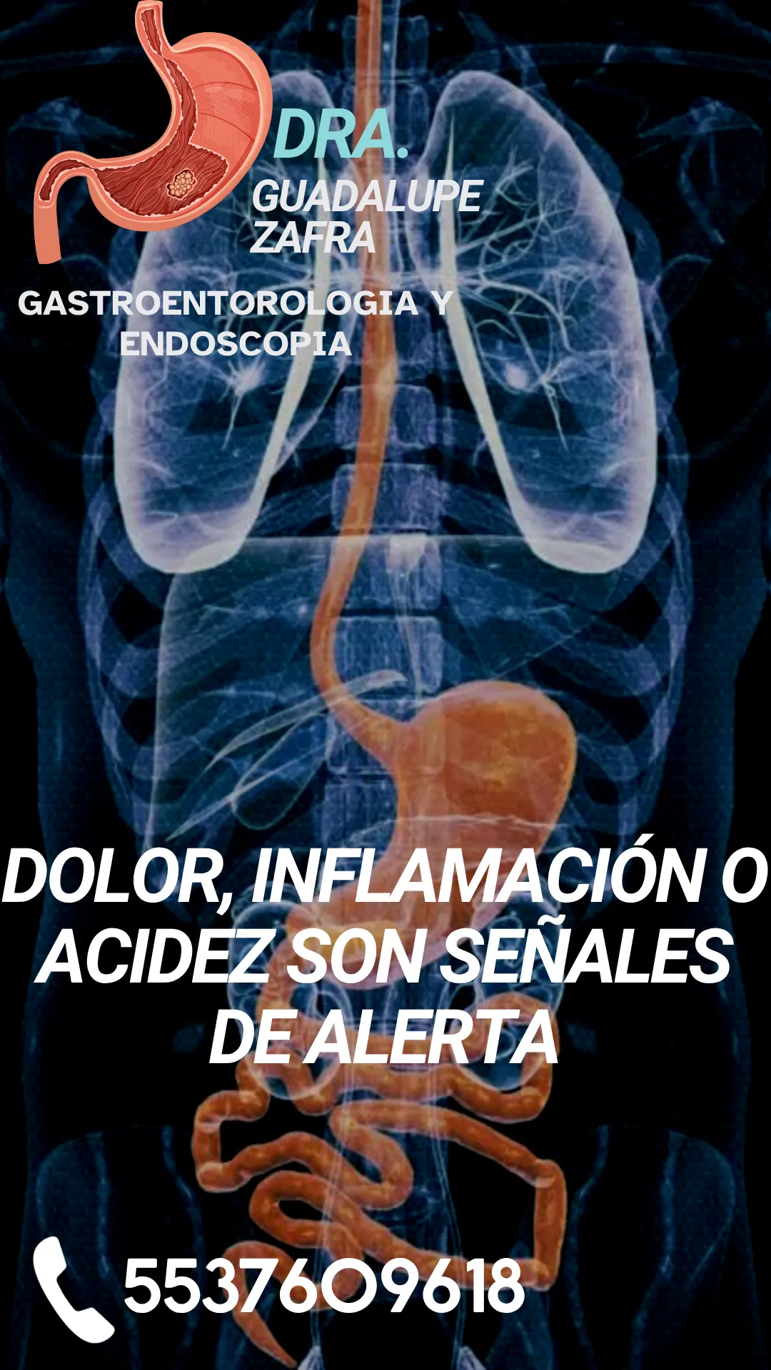 Diseño 16