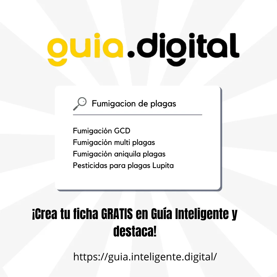 Diseño 6