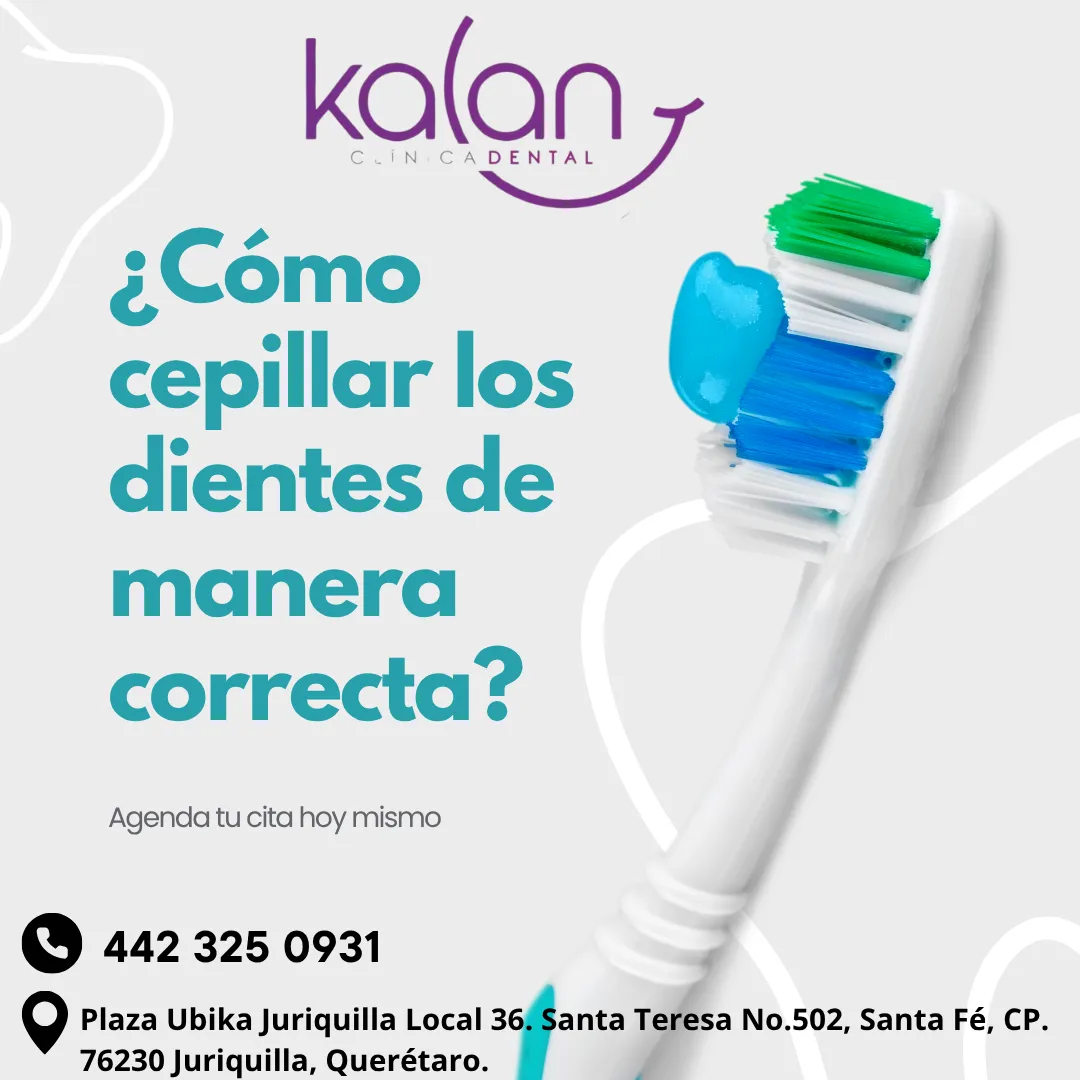 Diseño 65