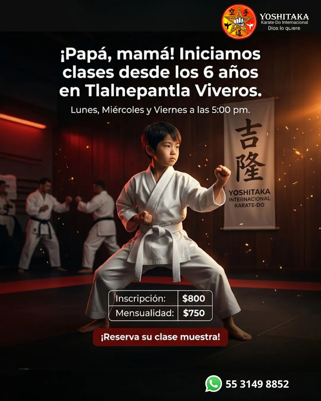 Diseño 15
