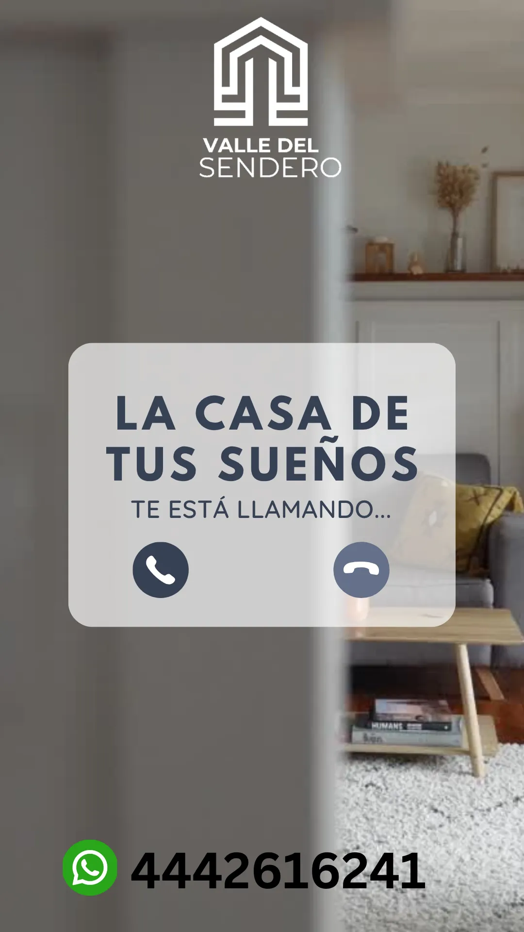 Diseño 29