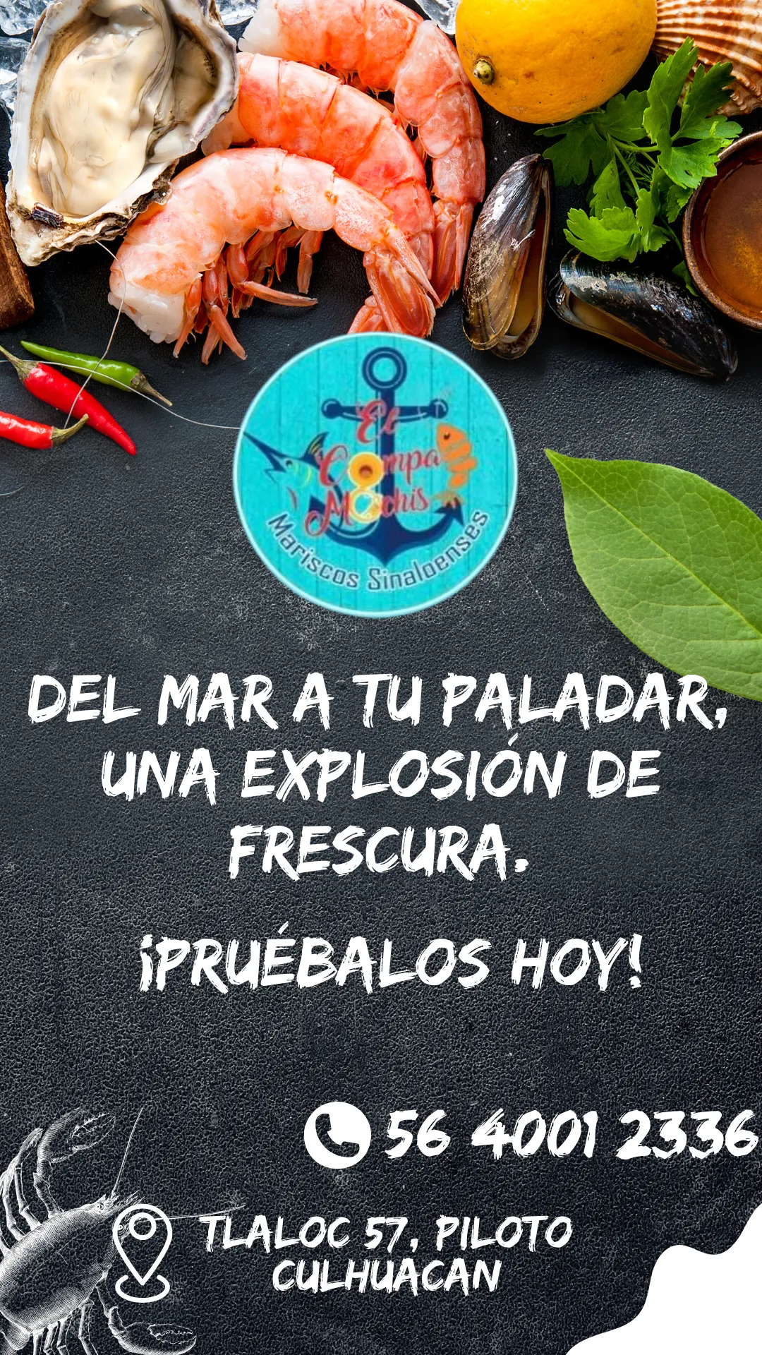 Diseño 38