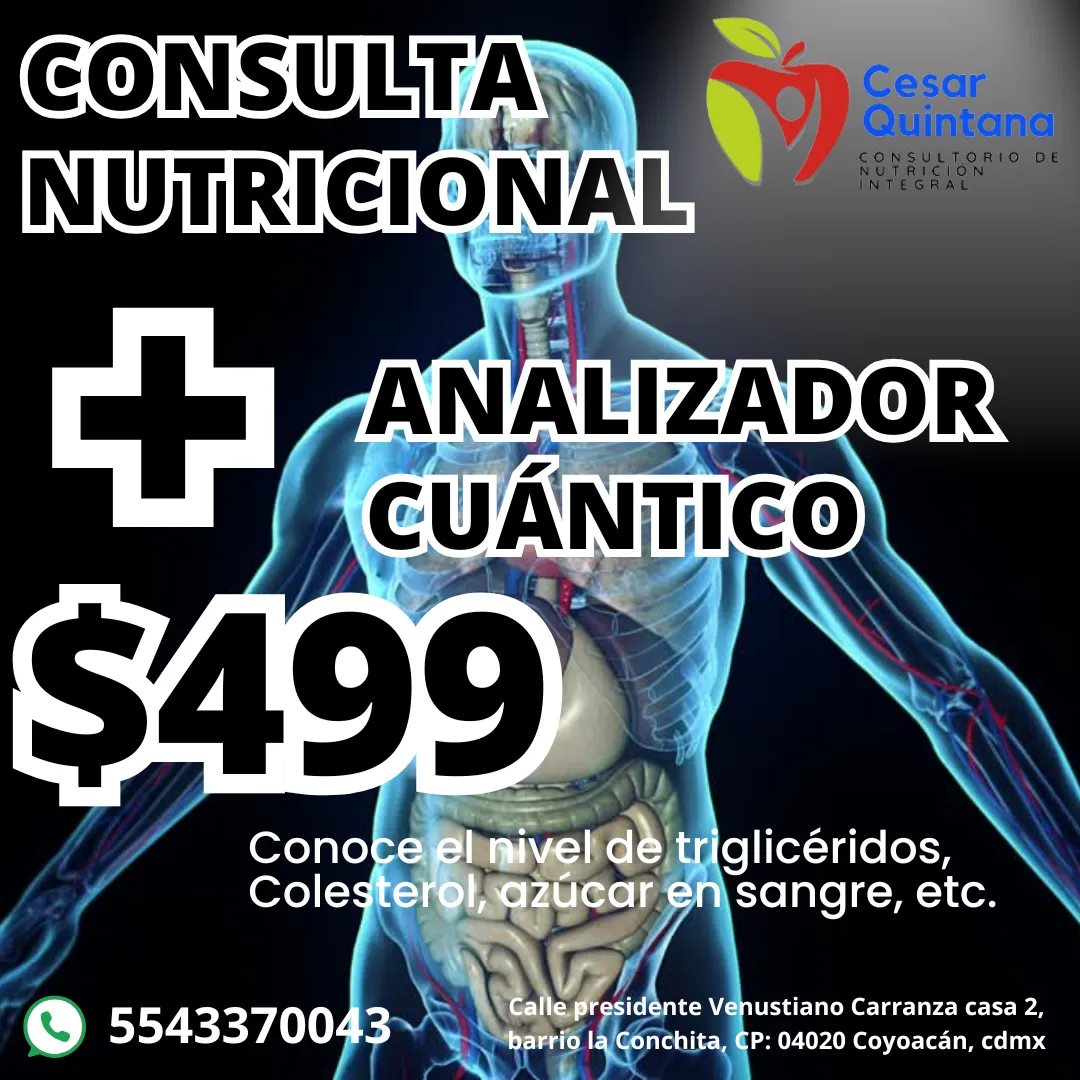 Diseño 72