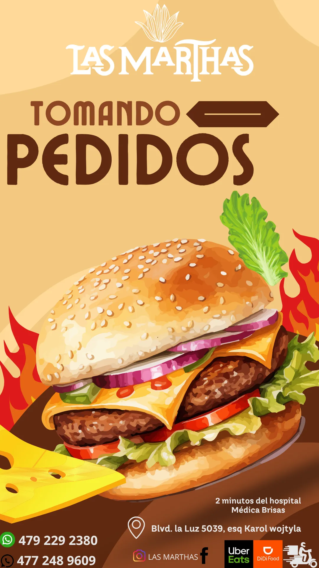 Diseño 41