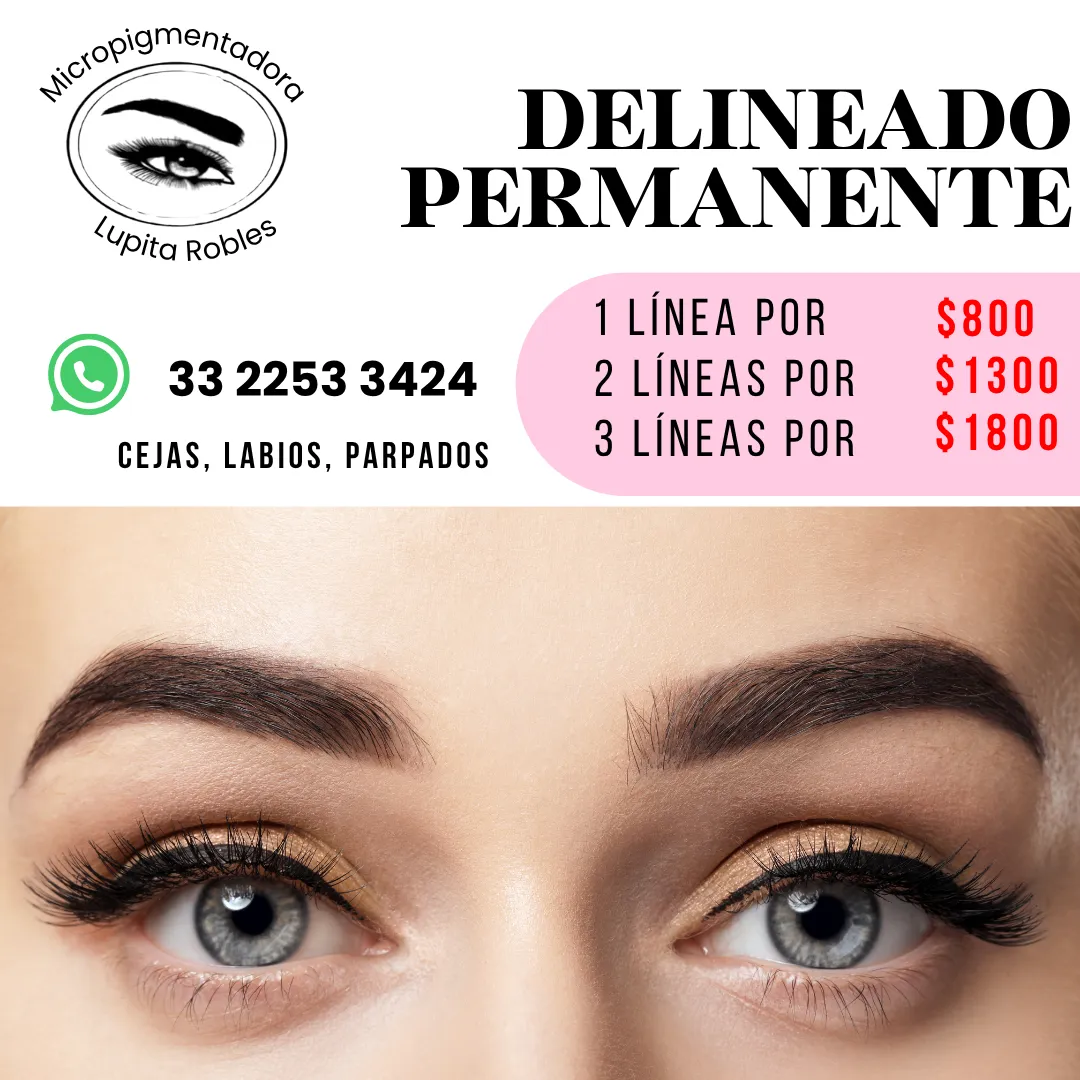 Diseño 4