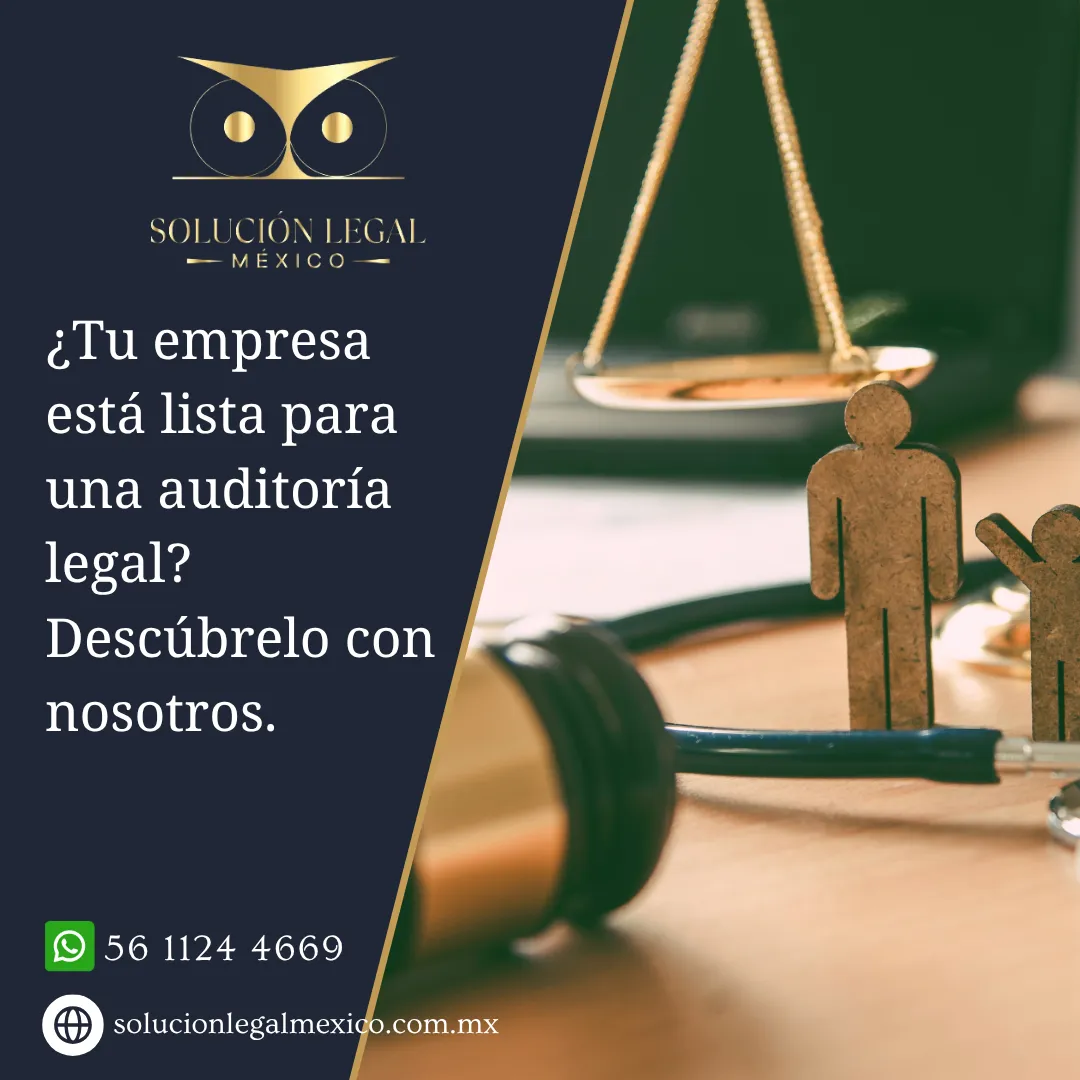 Diseño 107