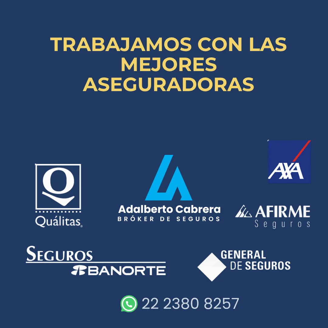 Diseño 26