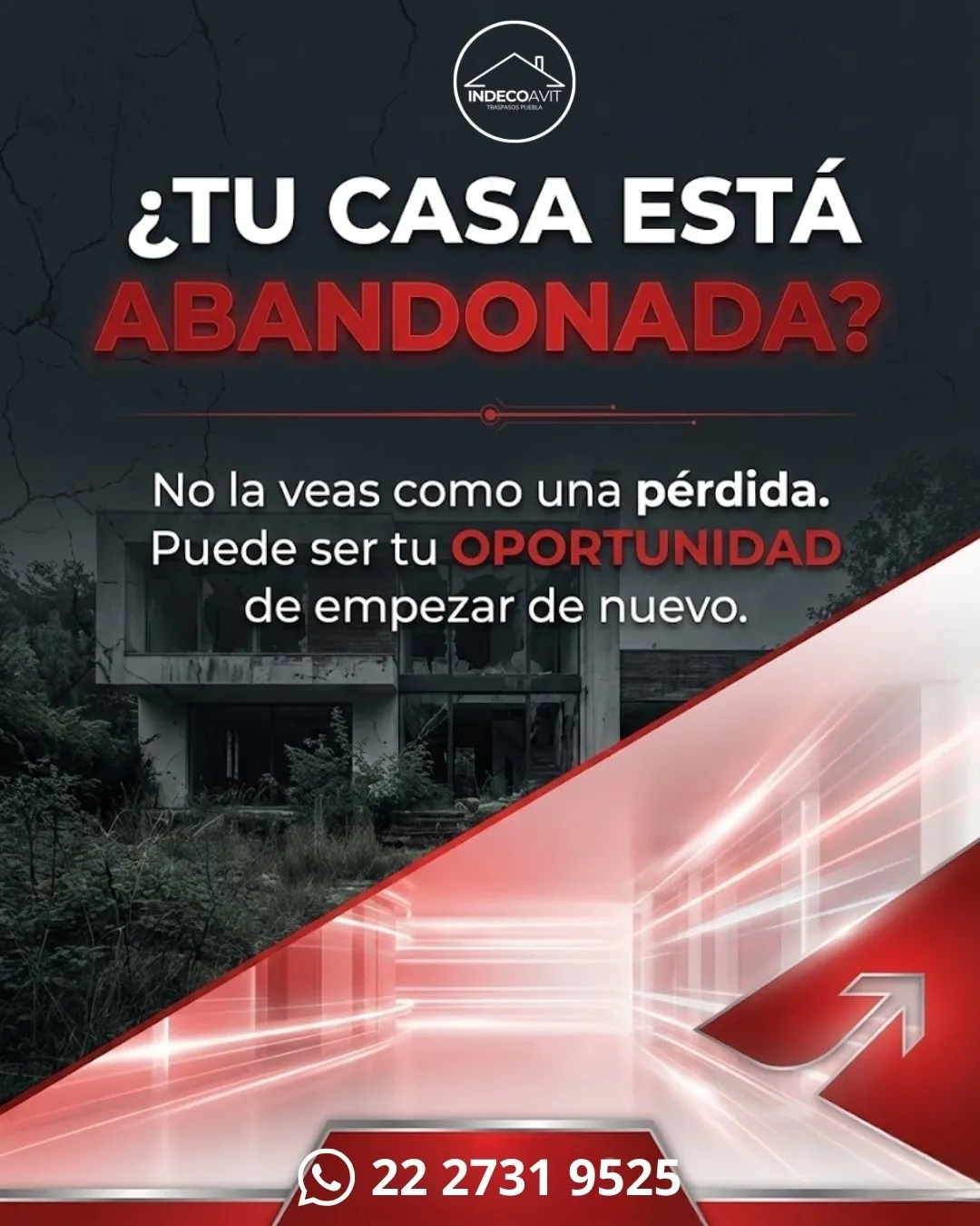 Diseño 12