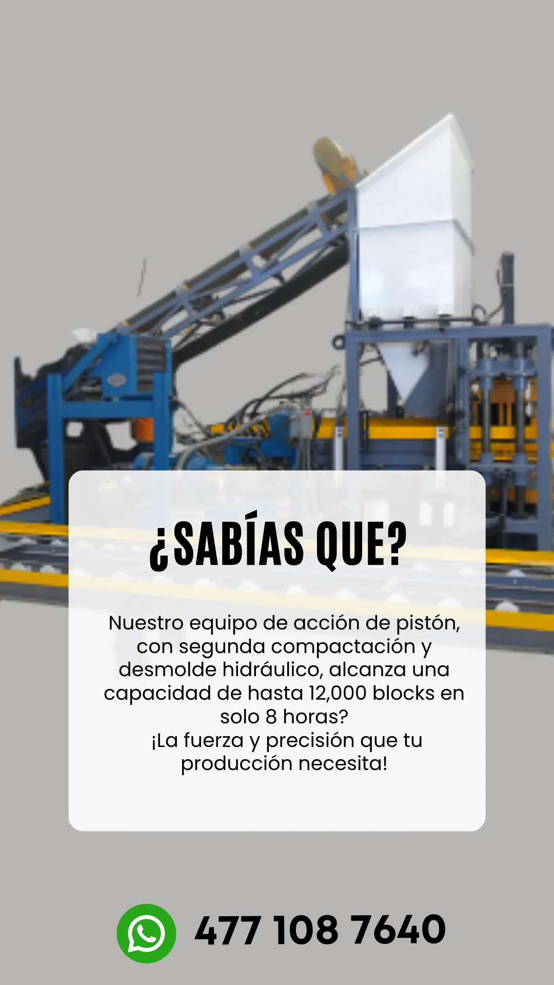Diseño 47