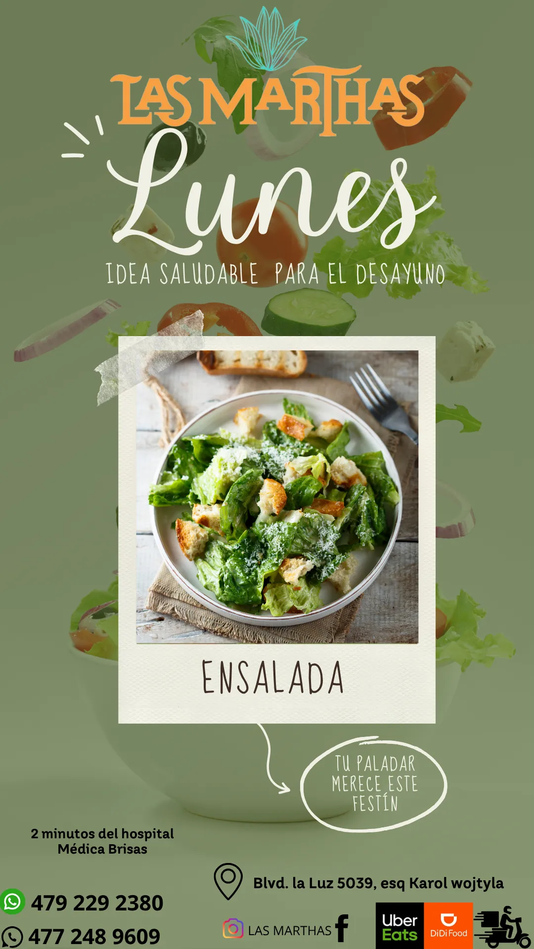 Diseño 29