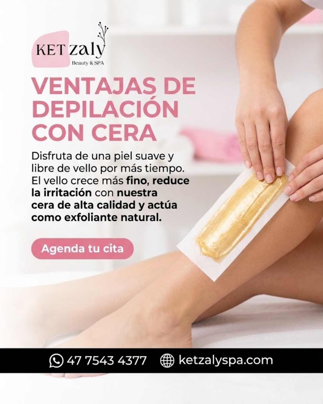 Diseño 55