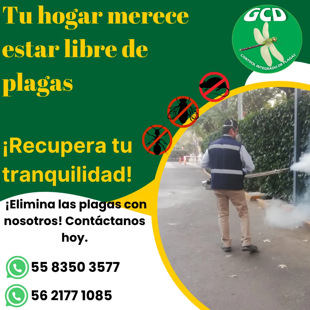 Diseño 49