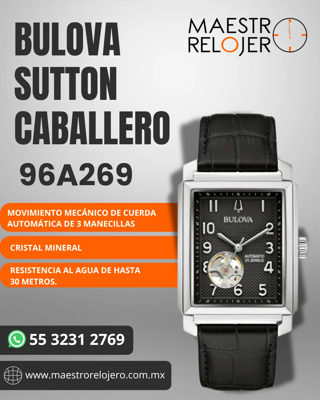 Diseño 41
