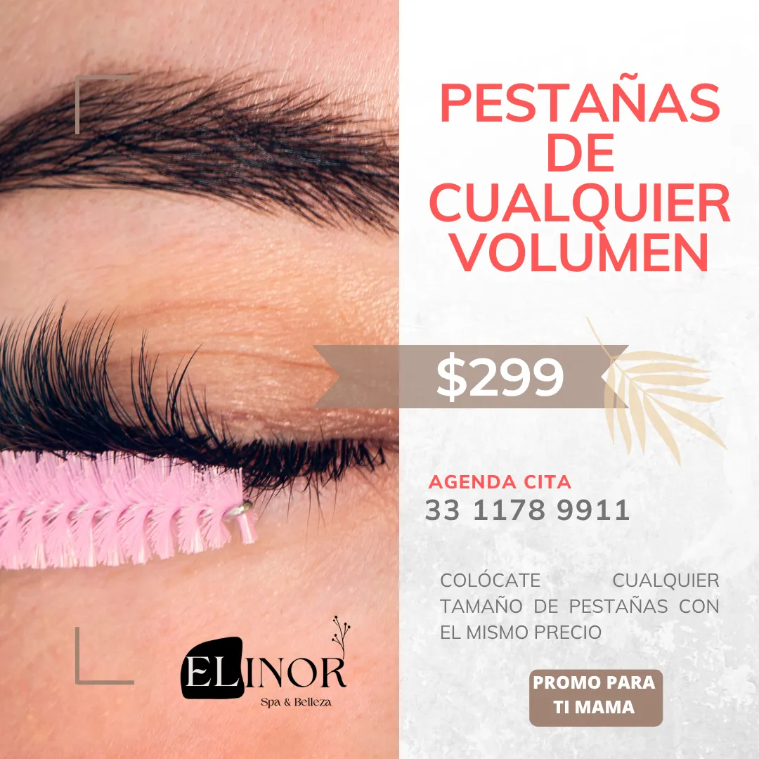Diseño 12