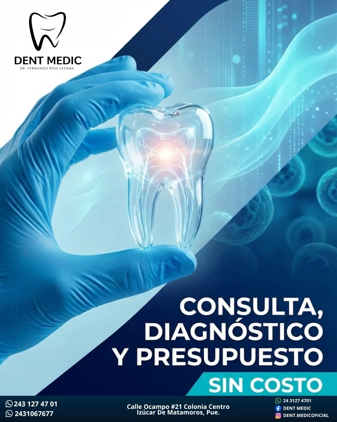Diseño 17