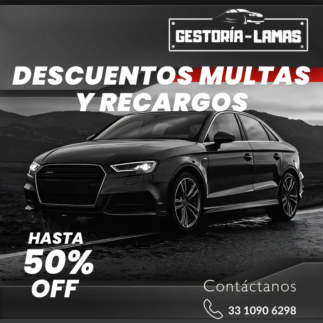 Diseño 116