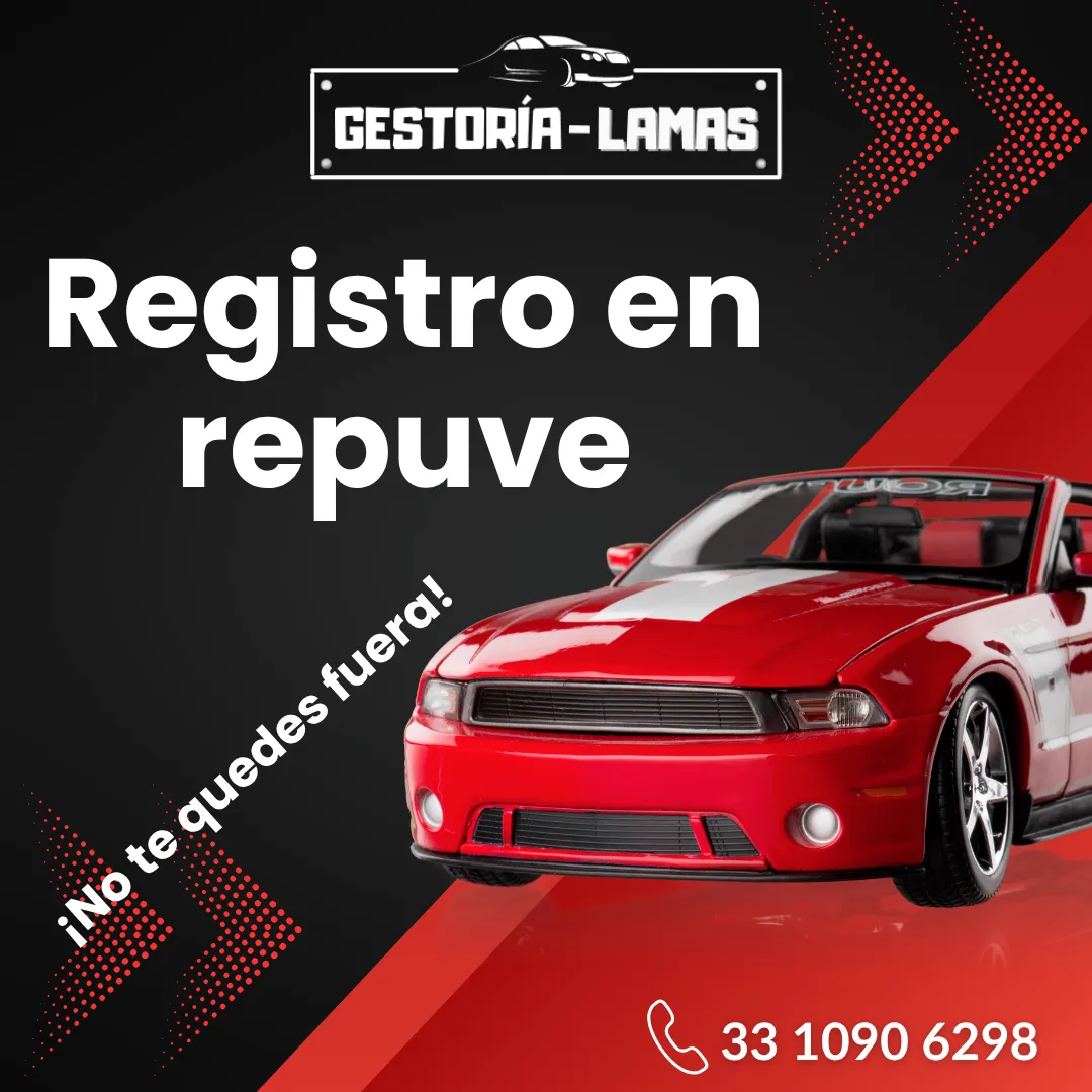 Diseño 97
