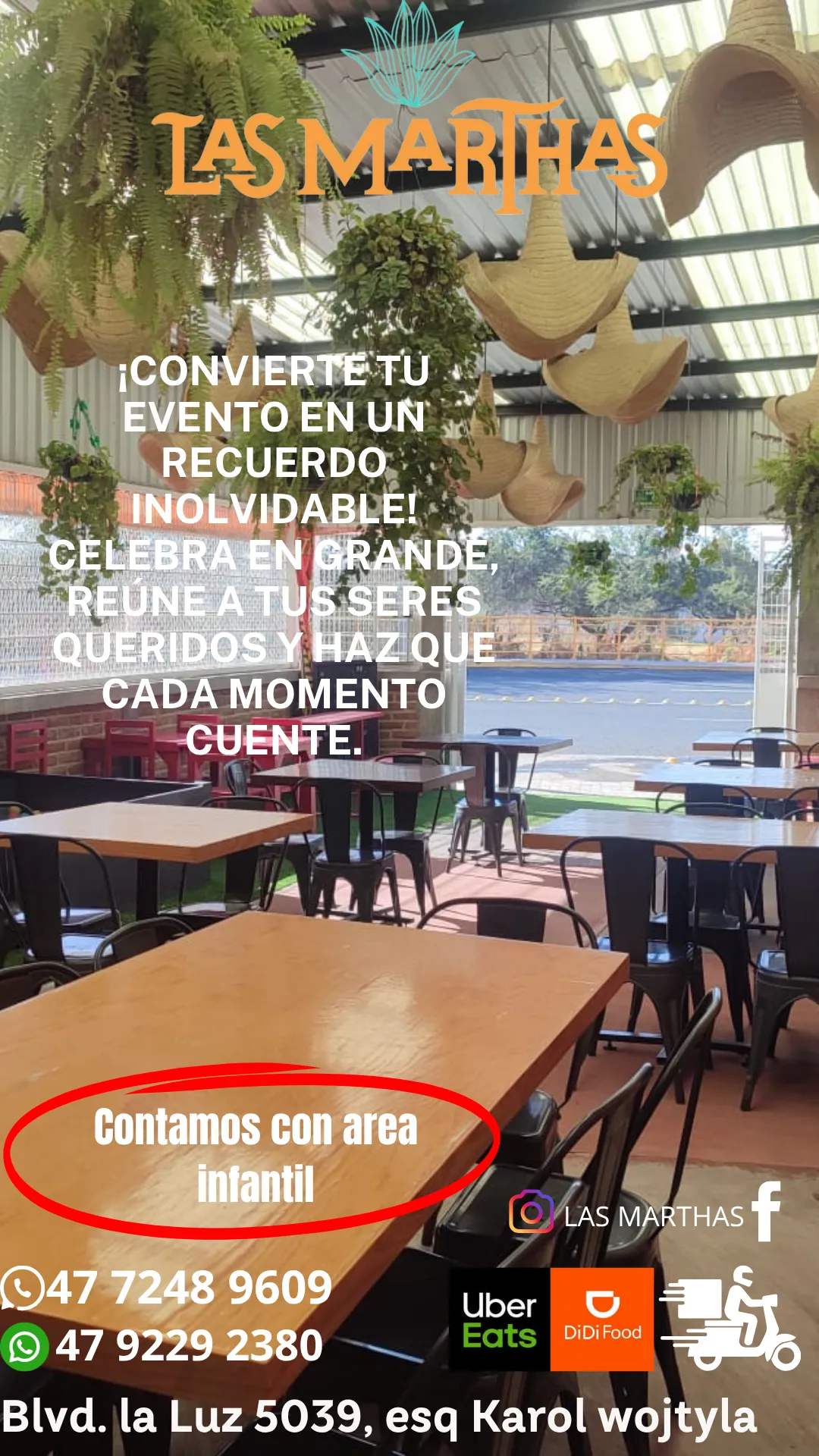 Diseño 62