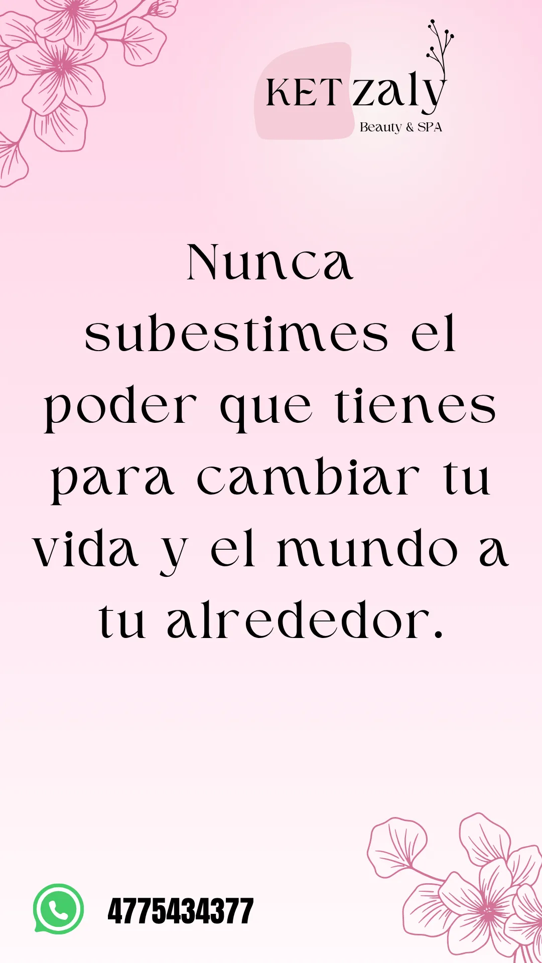 Diseño 88