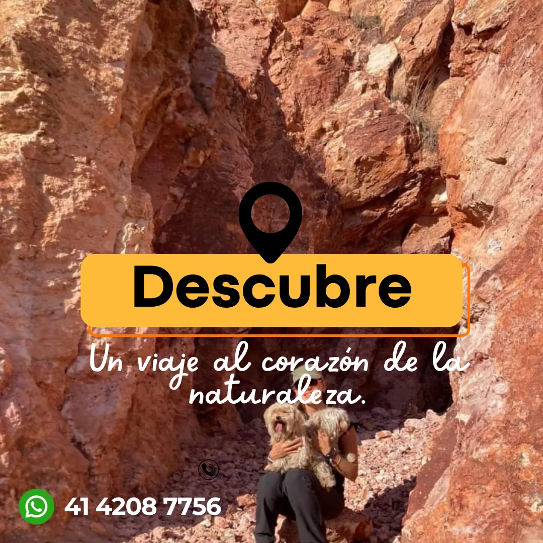 Diseño 10