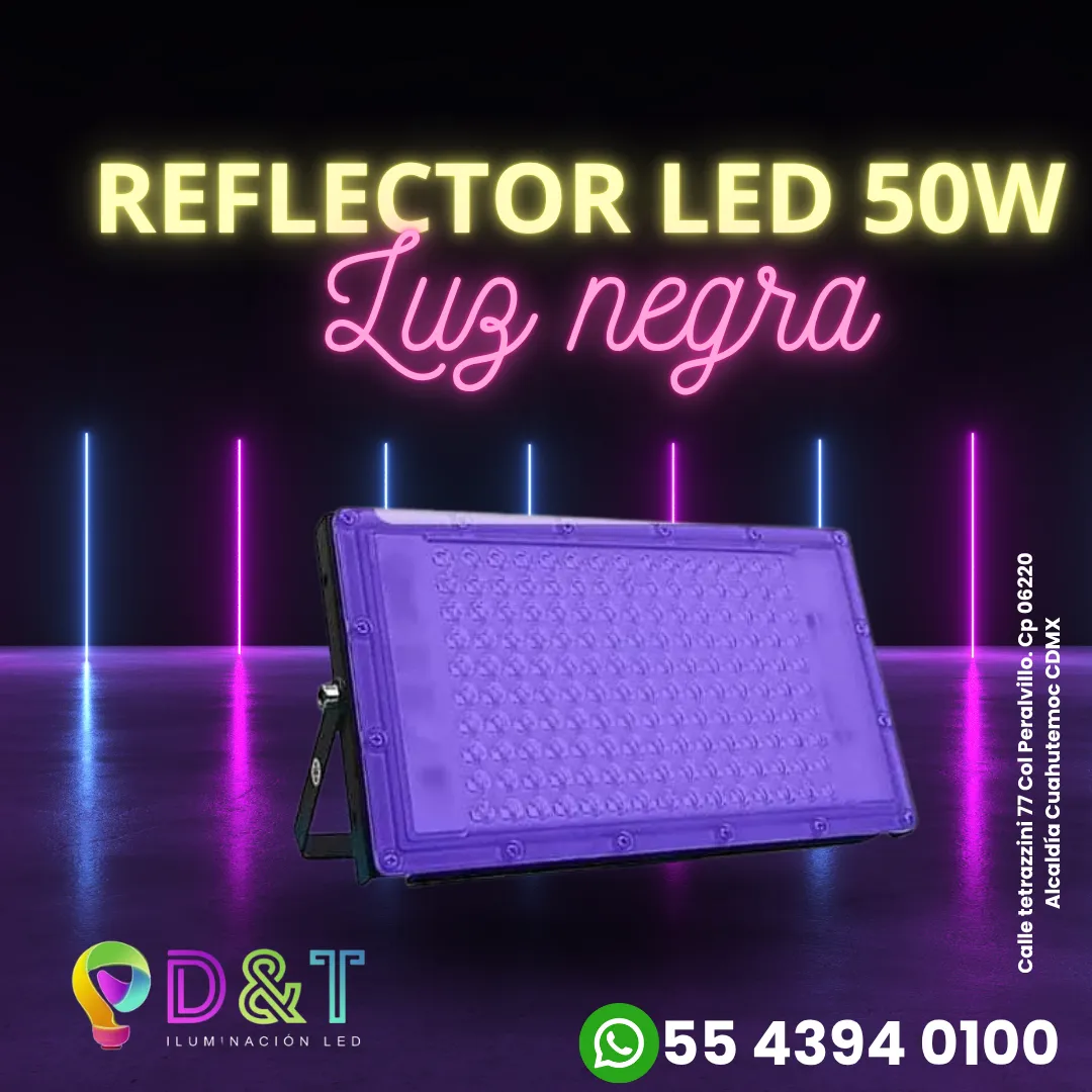 Diseño 50