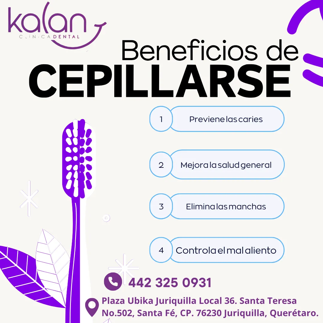 Diseño 4