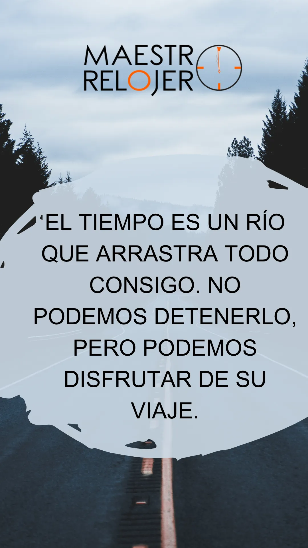 Diseño 8