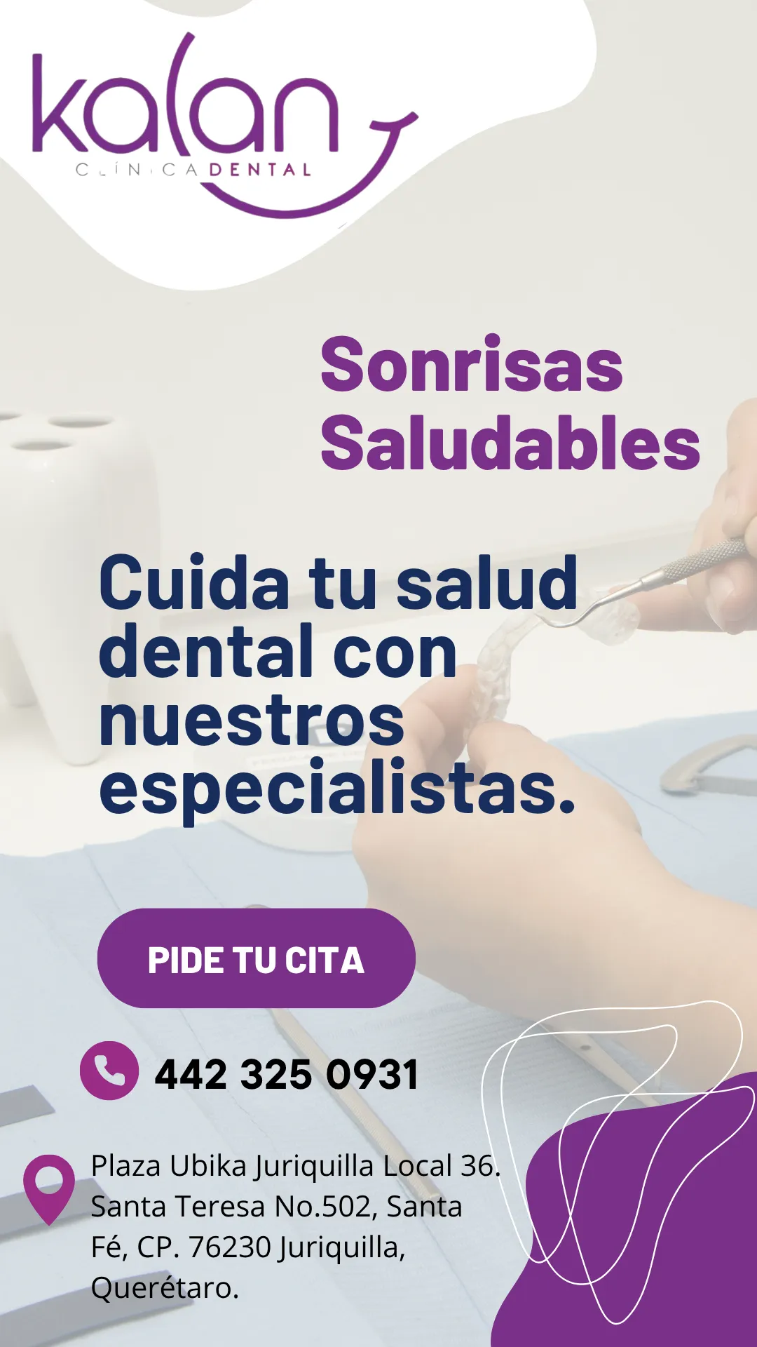 Diseño 51