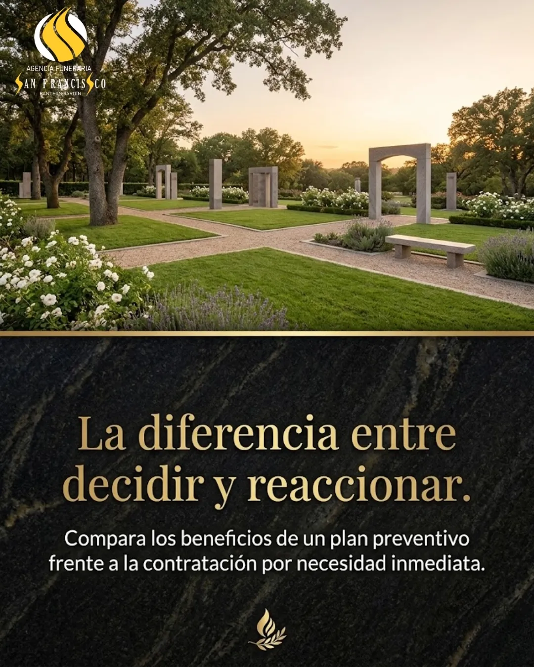Diseño 50