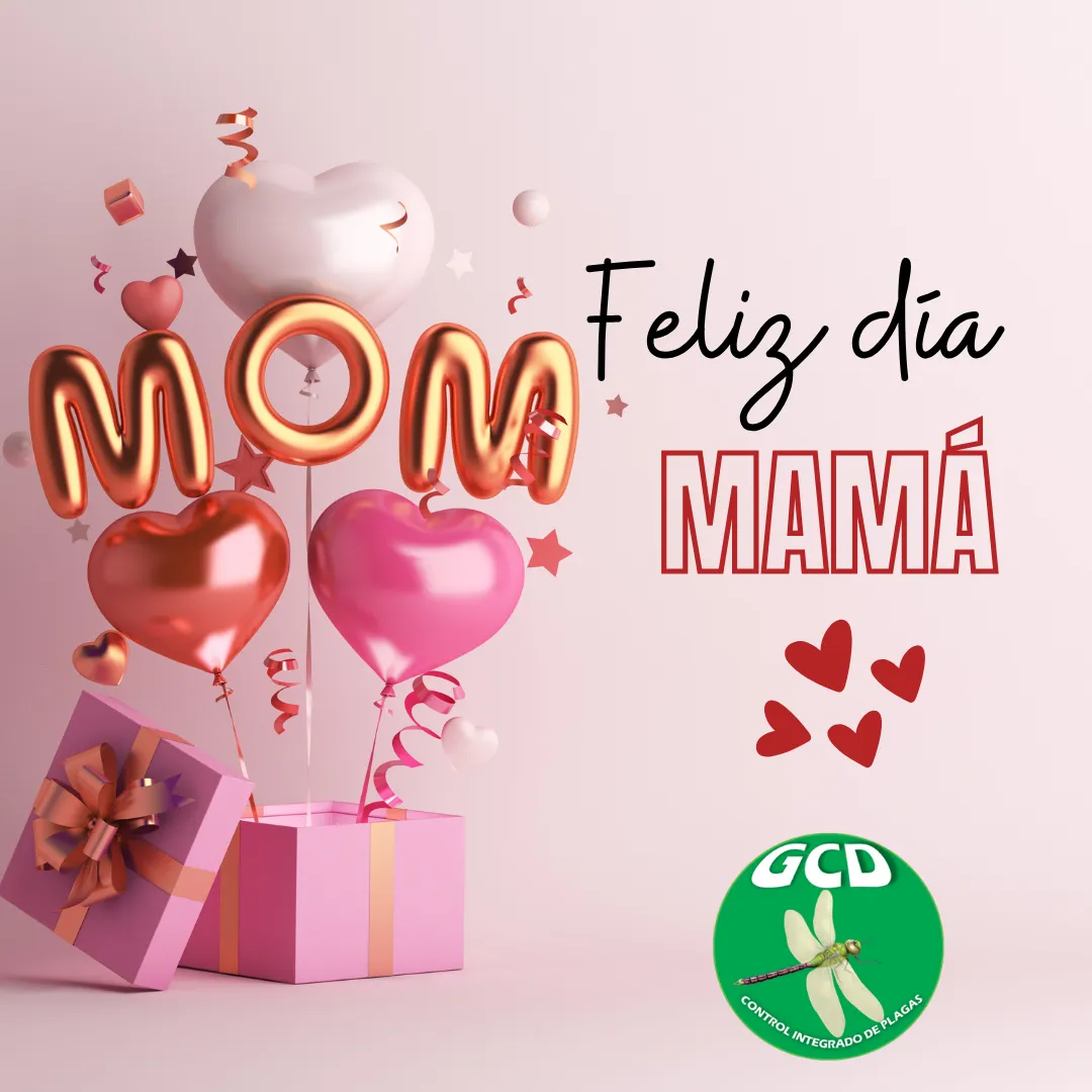 Diseño 2