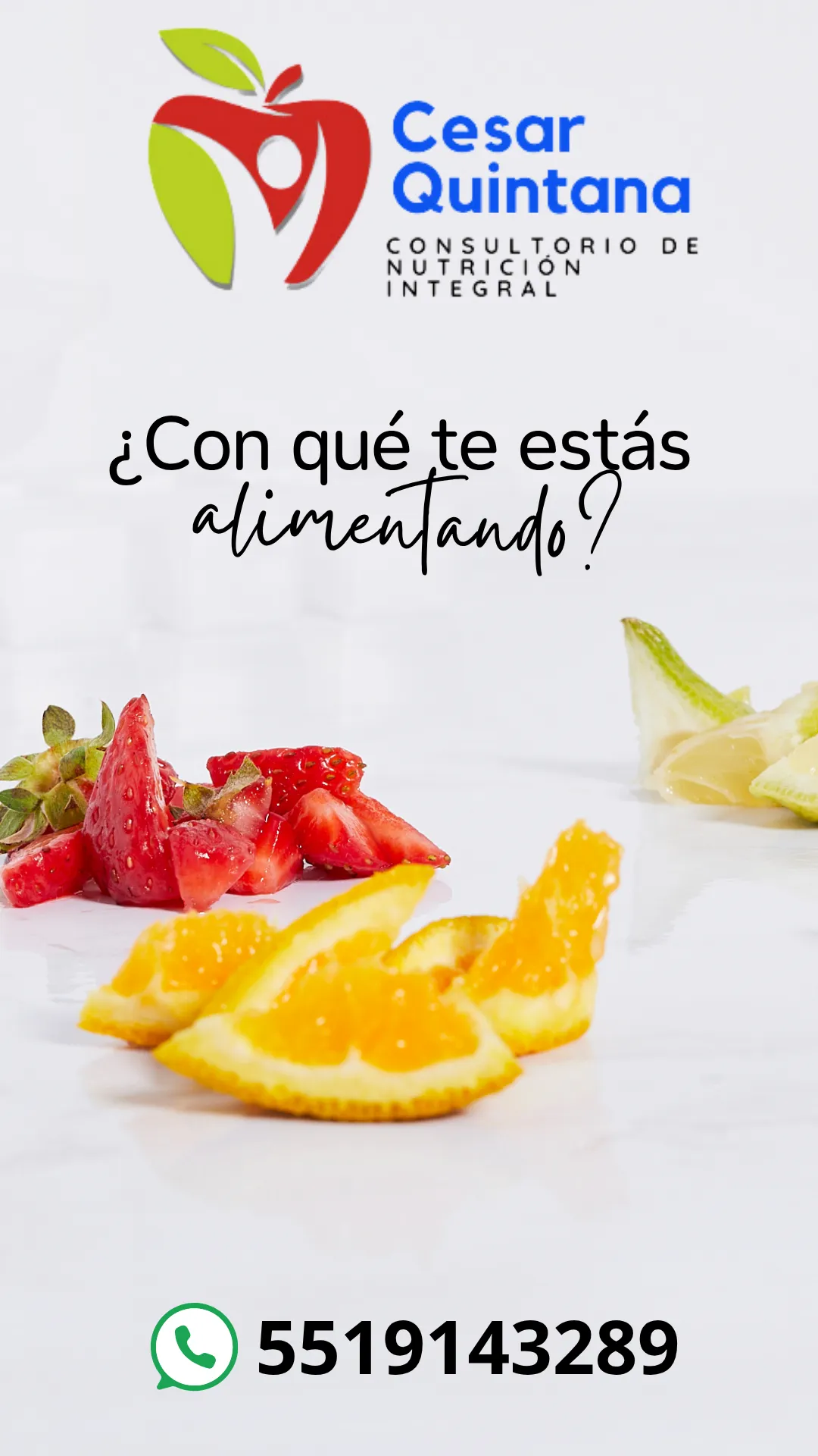 Diseño 49