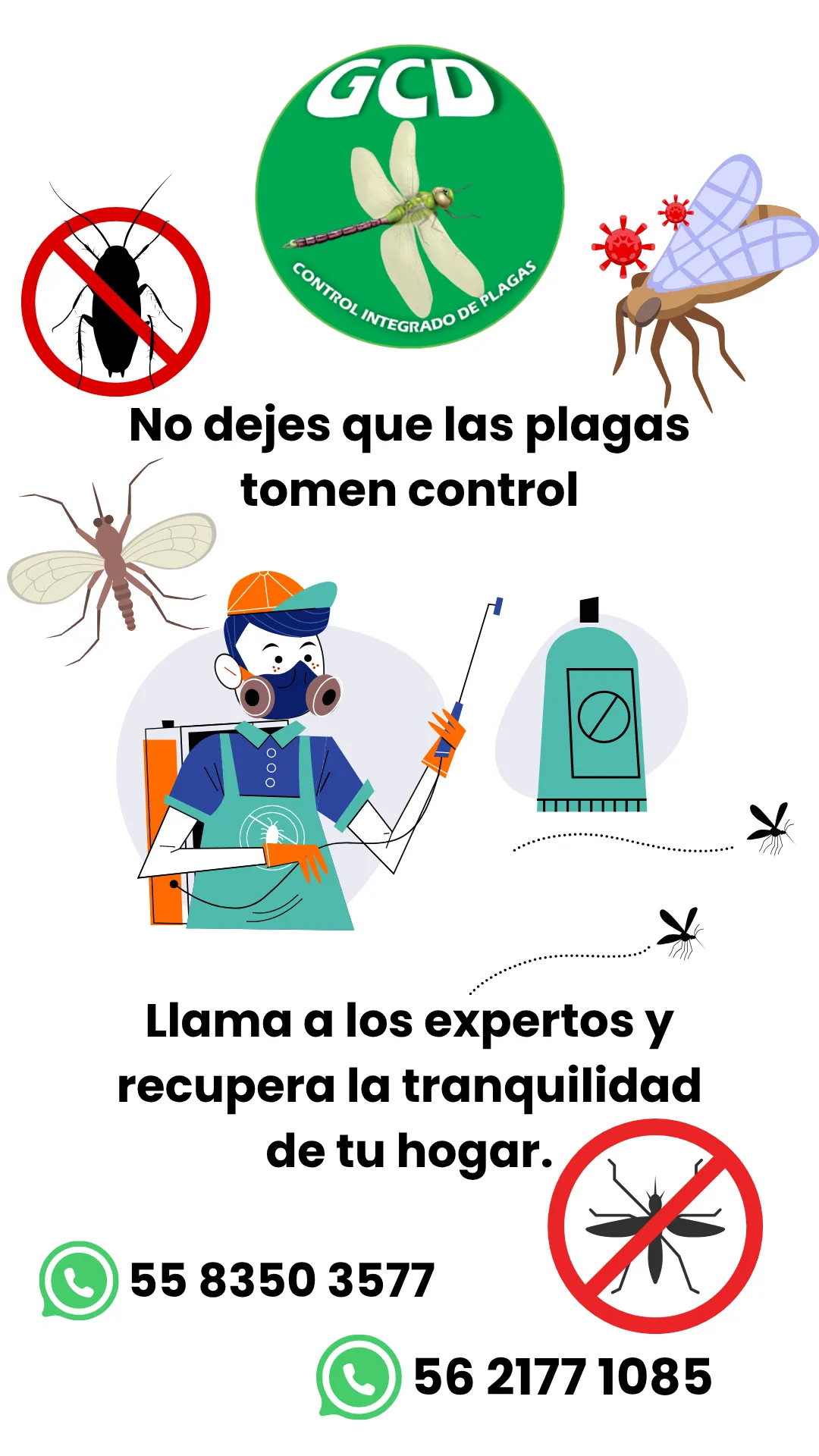 Diseño 139
