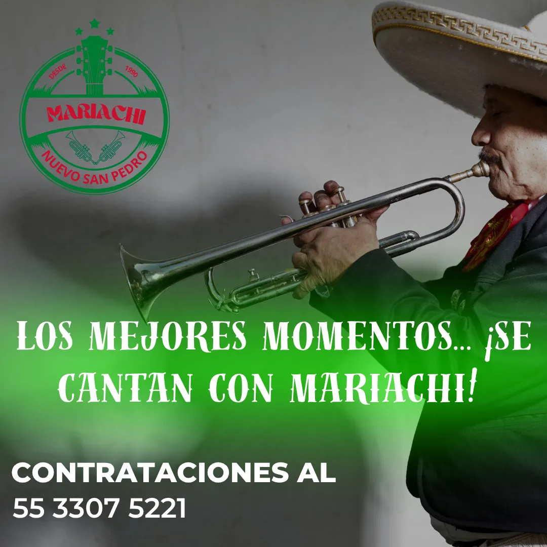 Diseño 77