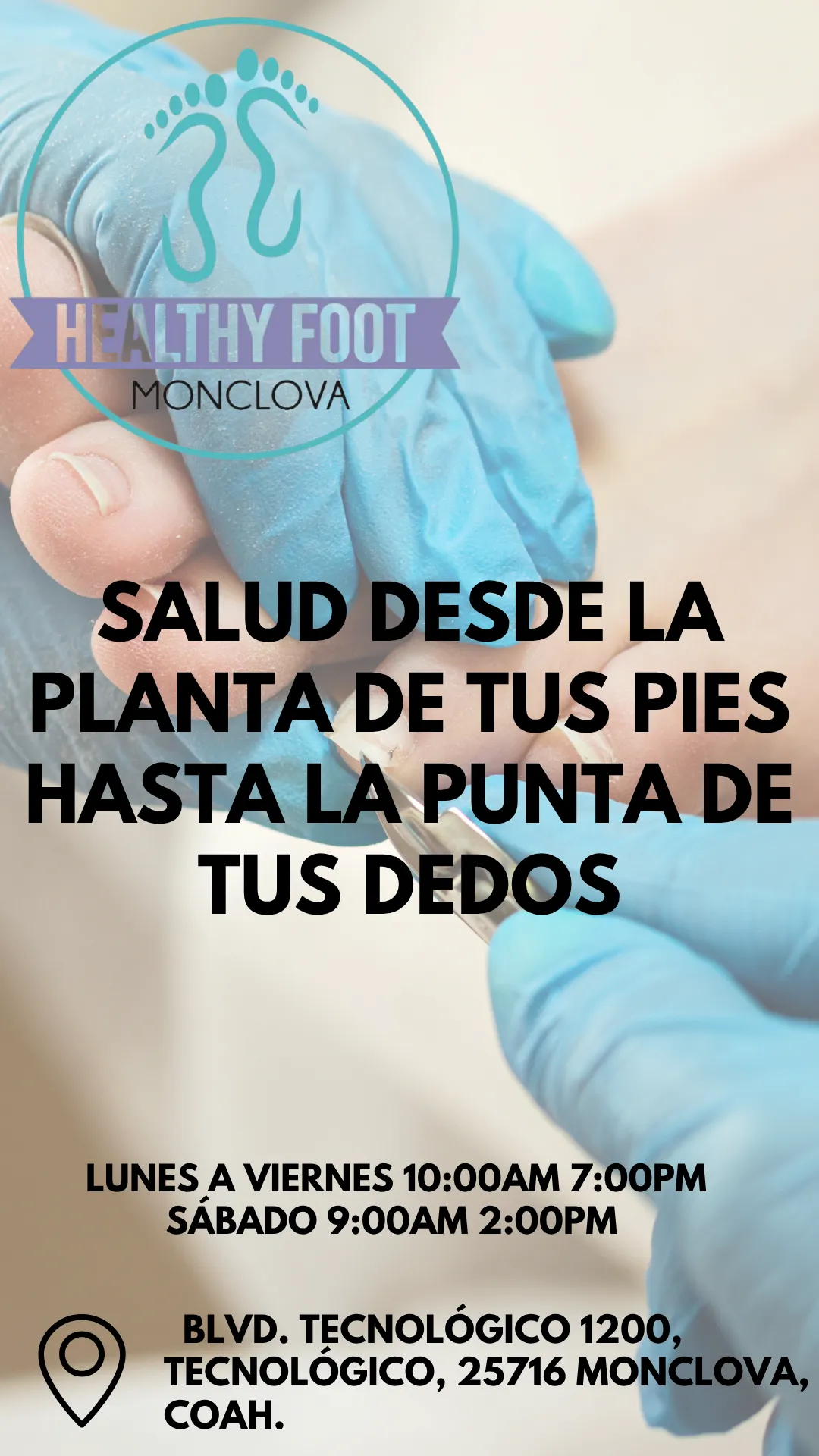 Diseño 59