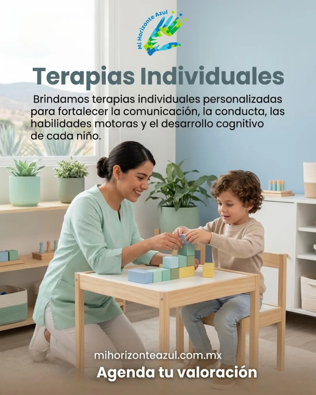 Diseño 87